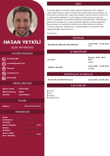 Havacılık Ve Uzay Uçak Mühendisi Cv Örnekleri cv indir